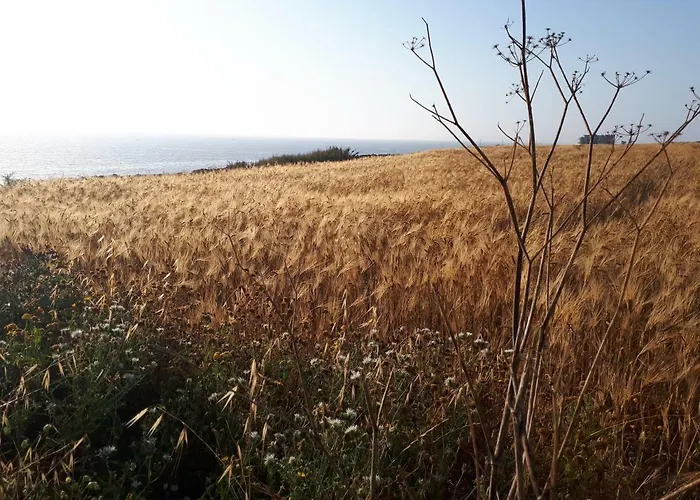 Ocean View, 1 Appartamento *