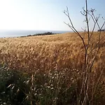 Ocean View, 1 公寓 *