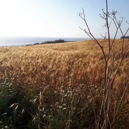 Ocean View, 1 Apartment *